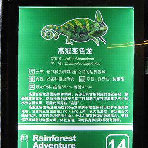 signage example