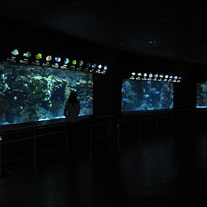 marine tanks