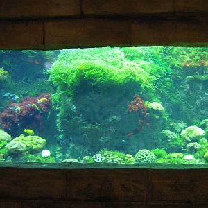 marine tanks