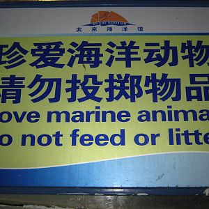 dolphin signage