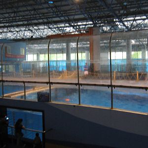 dolphin pools