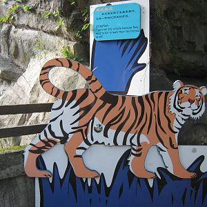 tiger signage