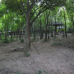 zebra enclosure