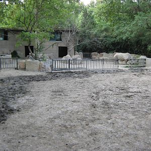 white rhino enclosure