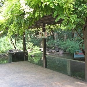Eurasian otter (Lutra lutra) enclosure