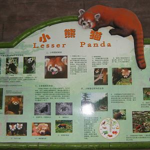 red panda signage