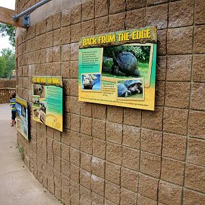 Aldabra Tortoise (Aldabrachelys gigantea) Exhibit
