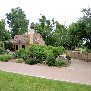 Aldabra Tortoise (Aldabrachelys gigantea) Exhibit