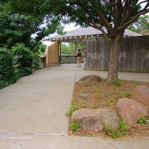 Painted Dog/Dik-Dik/Meerkat Area