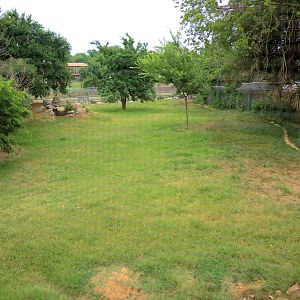 Painted Dog/Dik-Dik/Meerkat Area