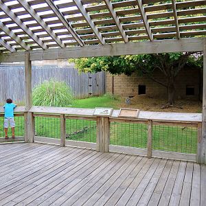 Painted Dog/Dik-Dik/Meerkat Area