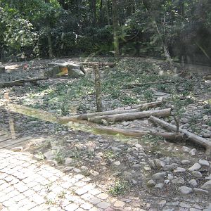 grey wolf (Canis lupus) enclosure