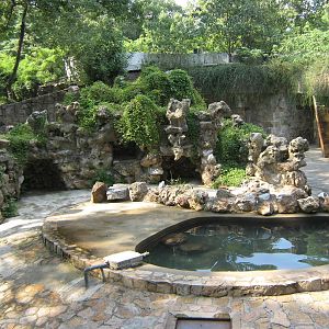 European brown bear (Ursus arctos) enclosure