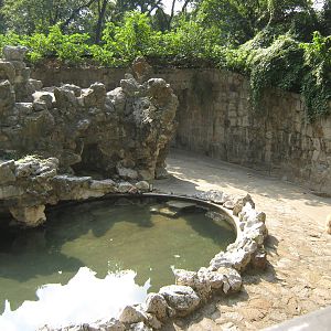 Himalayan brown bear (Ursus arctos isabellinus) enclosure