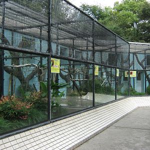 aviaries