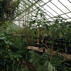 Butterfly House General View at Tropical World - 02/10/2013