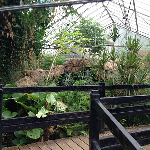 Butterfly House General View at Tropical World - 02/10/2013