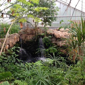 Waterfall at Tropical World - 02/10/2013