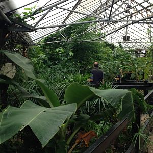 Butterfly House General View at Tropical World - 02/10/2013