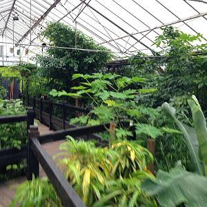 Butterfly House General View at Tropical World - 02/10/2013