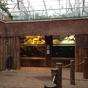 Aquarium Section General View at Tropical World - 02/10/2013