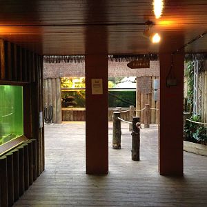 Aquarium Section General View at Tropical World - 02/10/2013