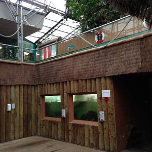 Aquarium Section at Tropical World - 02/10/2013