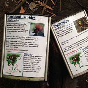 Australasia House Signage Example at Tropical World - 02/10/2013