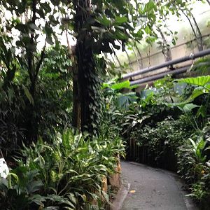 View of the Australasia House at Tropical World - 02/10/2013