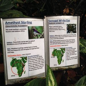 Australasia House Signage at Tropical World - 02/10/2013