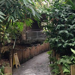 Australasia House at Tropical World - 02/10/2013