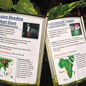 Australasia House Signage at Tropical World - 02/10/2013