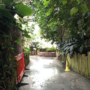 Australasia House at Tropical World - 02/10/2013