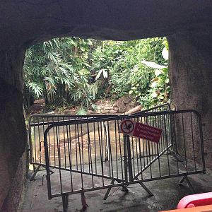 Waterfall Cordoned off at Tropical World - 02/10/2013