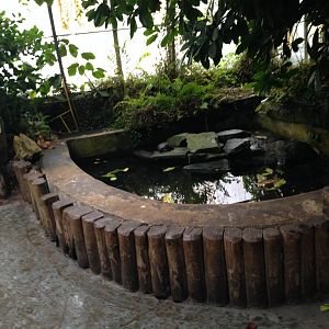 Terrapin Enclosure at Tropical World - 02/10/2013
