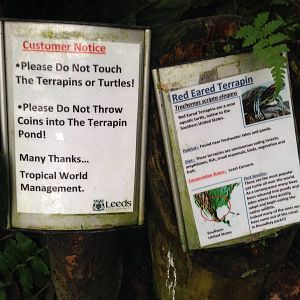 Terrapin Signage at Tropical World - 02/10/2013