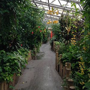 Australasia House at Tropical World - 02/10/2013