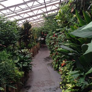 Australasia House at Tropical World