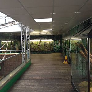 Creature Corner at Tropical World - 02/10/2013