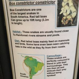 Red-Tailed Boa Signage at Tropical World - 02/10/2013