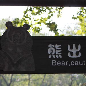 bear sign