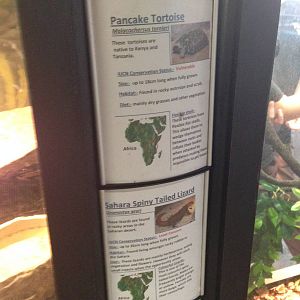 Creature Corner Signage Example at Tropical World - 02/10/2013
