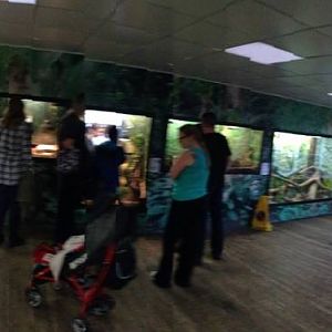 Panorama of Creature Corner at Tropical World - 02/10/2013