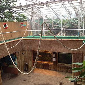 Amazon Tank at Tropical World - 02/10/2013