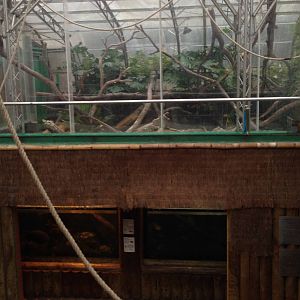 Amazon Tank / Iguana Exhibit at Tropical World - 02/10/2013