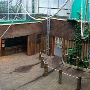 Aquarium Panorama at Tropical World - 02/10/2013