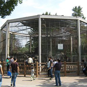 rhesus macaque cage