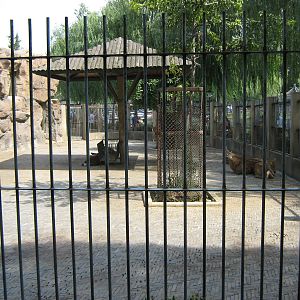 deer pens