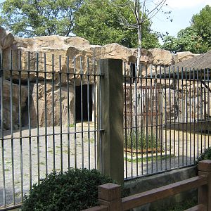 takin (Budorcas taxicolor) pen