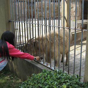 Barrier? What barrier?